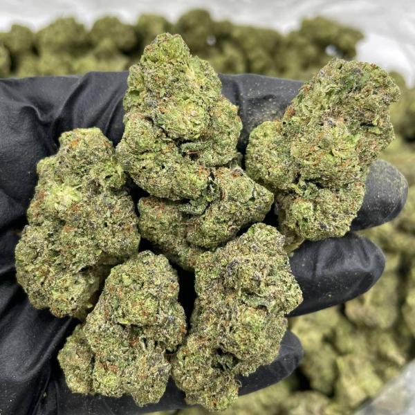 Cereal Milk 🥣🥛