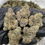 Frozen Grapes indoors 🥶🍇