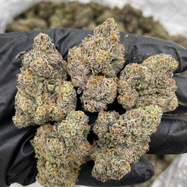 Frozen Grapes indoors 🥶🍇