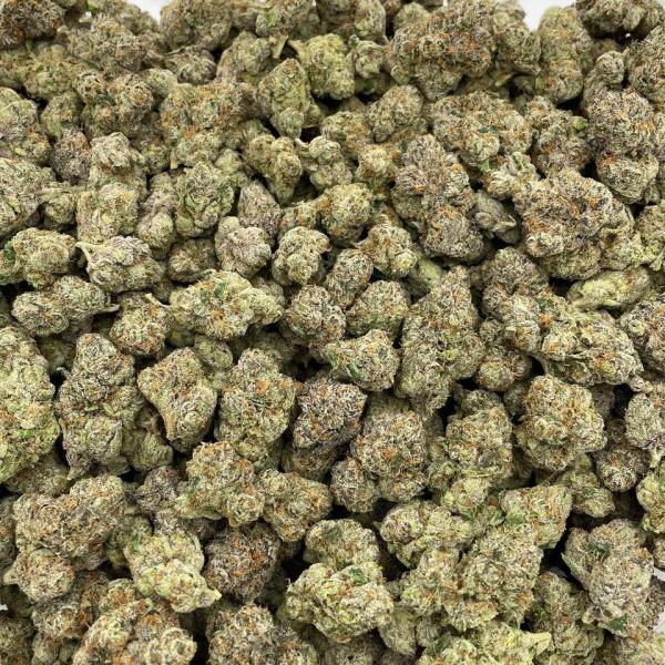 Northern Lights indoors ☄️