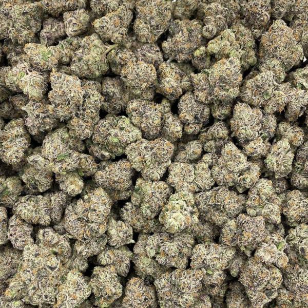 Cherryade indoors 🍒