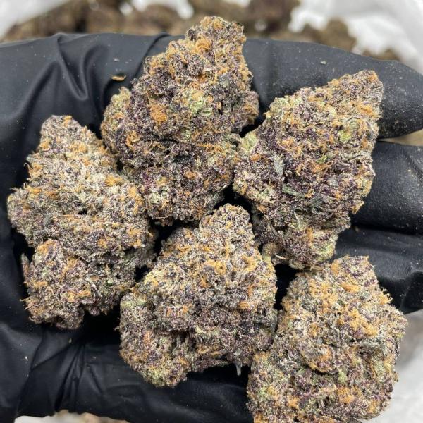 Bubblegum Zkittlez indoors 🍭