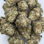 🍷🍝AUTUMN SUNSET🫜 #57