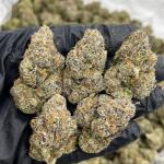 Northern Lights indoors ☄️