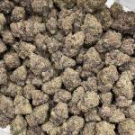 Bubblegum Zkittlez indoors 🍭