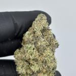 Han Solo Burger 🍔