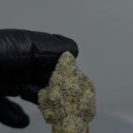 MAC 1 🍯 🍥 🍡