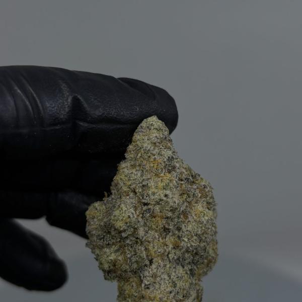 MAC 1 🍯 🍥 🍡