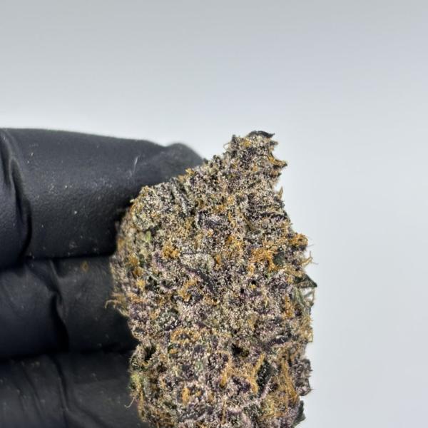 Tropicana Cookies 🍪