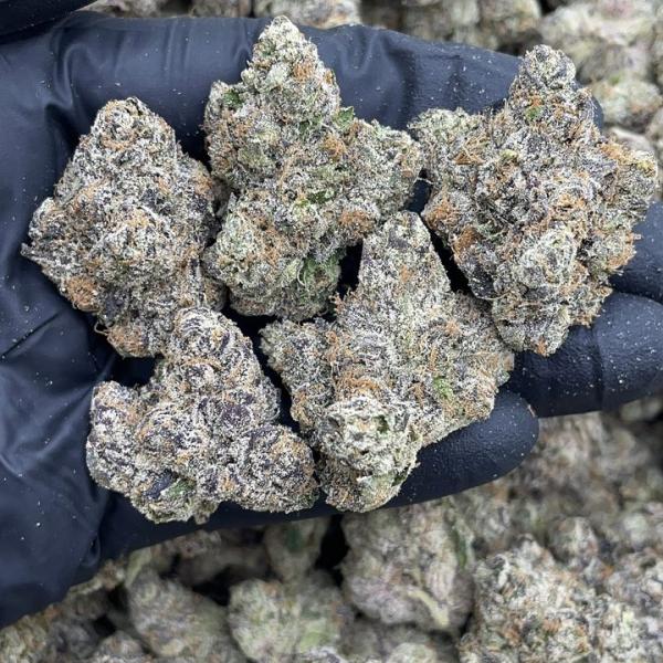 MARTIN CANDY 🍬