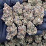 WHITE GUAVA GELATO