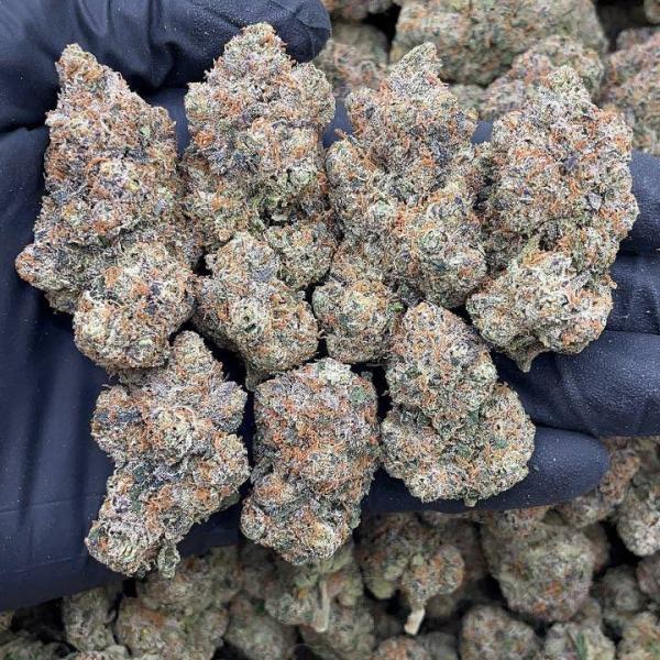 WHITE GUAVA GELATO