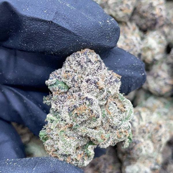 BLUE NERDS