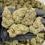 Fruit Stripes mixed lights