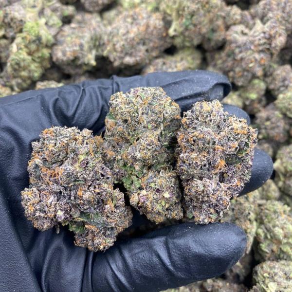 Blue Zours mixed lights