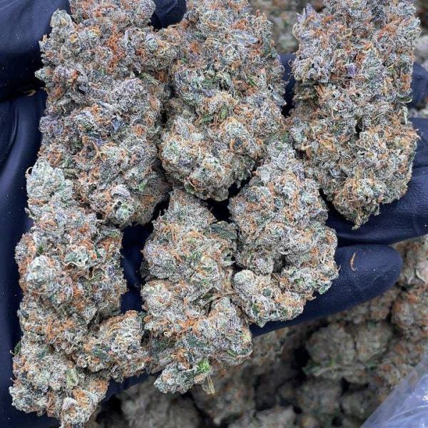 RUNTZ X OG