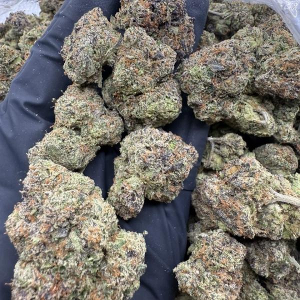 Cheetah gas