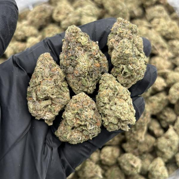 SUPER LEMON HAZE