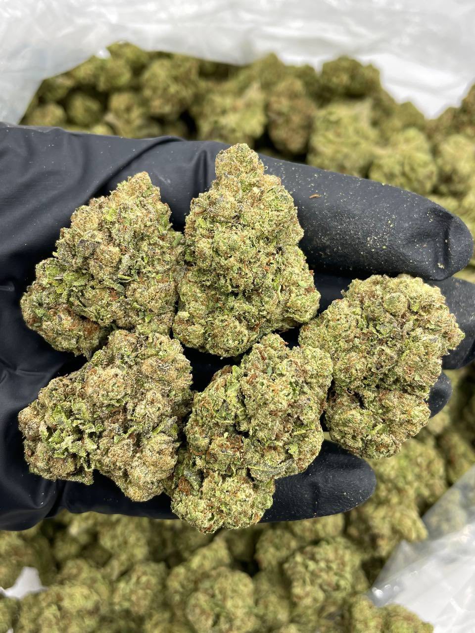 Lemon Cherry Runtz mixed light