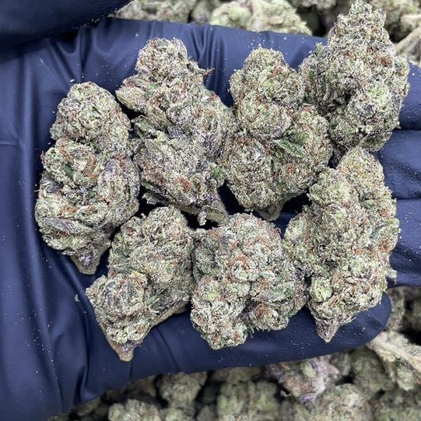 GRAPE OCTANE 88