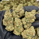 Yellow Zushi mixed lights