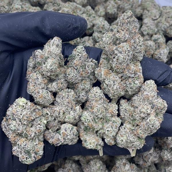FROSTED CANDY GRAPES