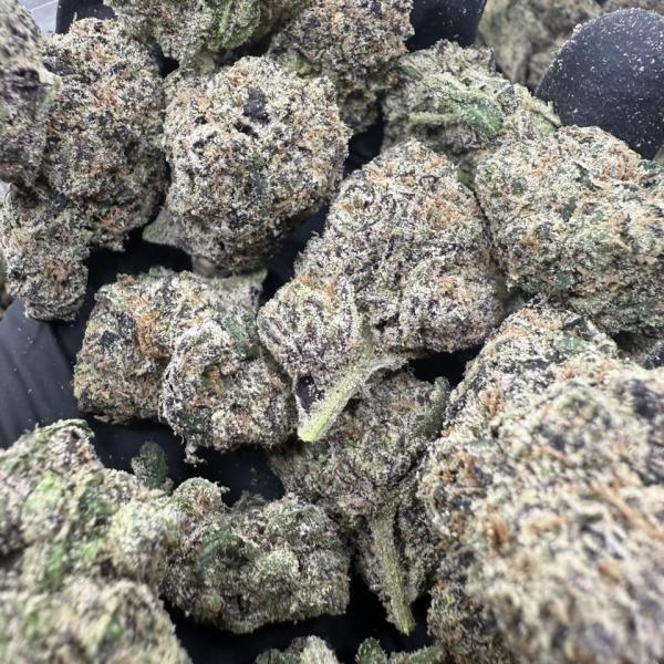 LA Candy