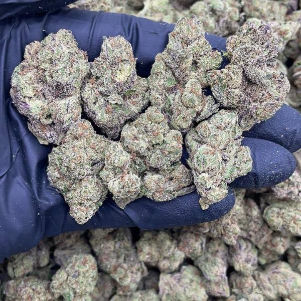GRAPE RUNTZ MEDS