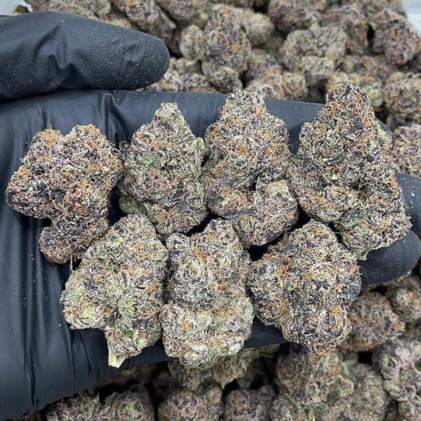 GRAPE ZODA