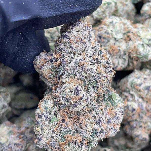 CANDY RUNTZ