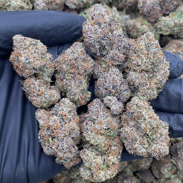 Blue Nerds 🍬