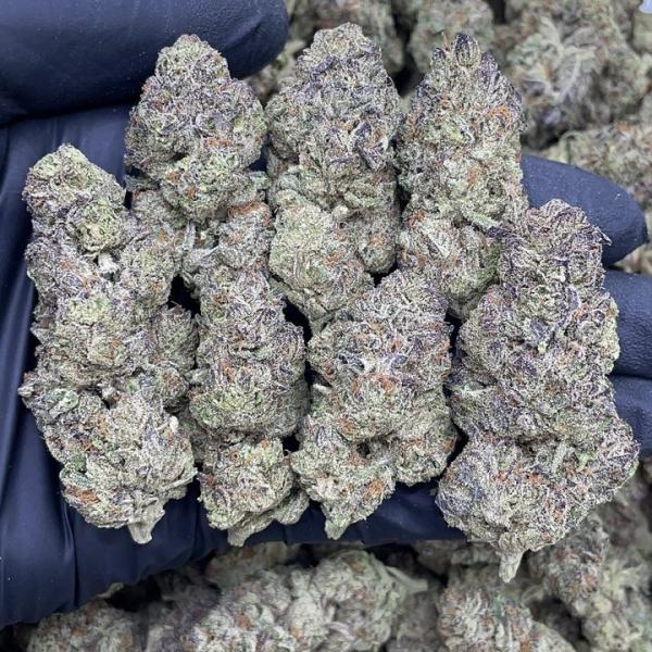 BLUE CHERRY YUMYUM