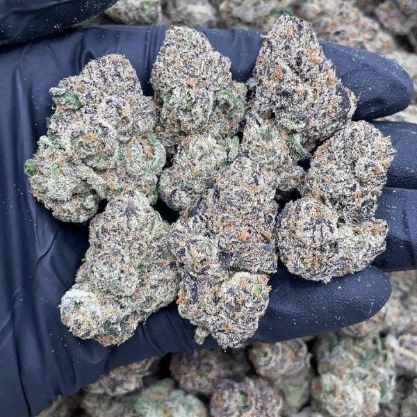 BLUE NERDS