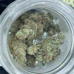 CBX 3.5 jars