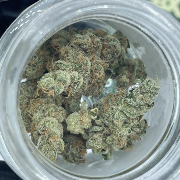 CBX 3.5 jars