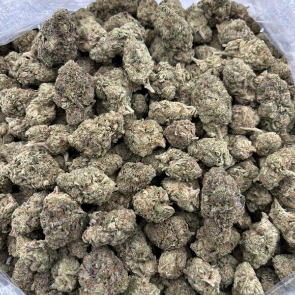 SUPER LEMON HAZE