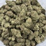 GELATO ST8