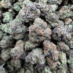 Biscotti X cherry runtz smalls