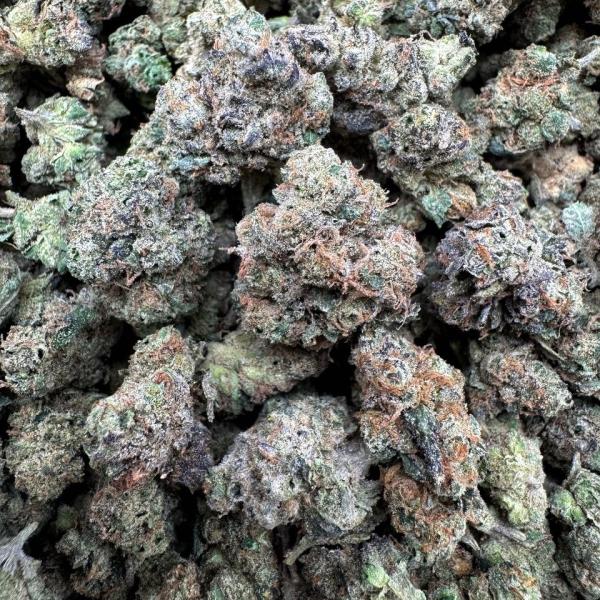 Biscotti X cherry runtz smalls