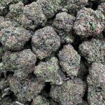 Lemon cherry blossom