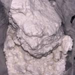 🦜Colombian Cocaine🇨🇴